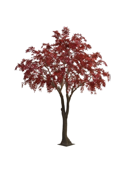 Acero Albero Artificiale XL Bordeaux 300cm