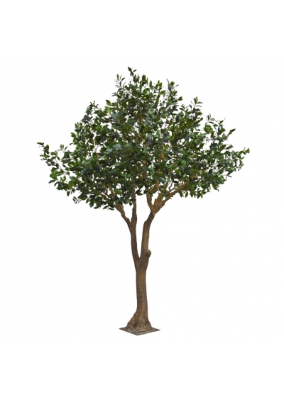 Alloro Albero Artificiale XL 300cm su base