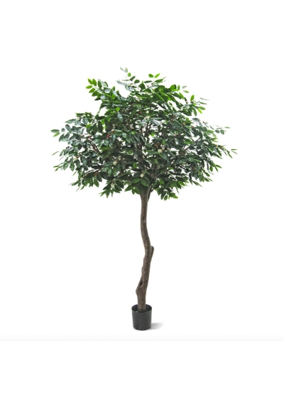 Coffea Arabica Giant Albero Artificiale 320cm