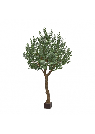 Eucalipto Albero Artificiale XL 300cm