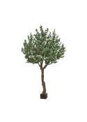 Eucalipto Albero Artificiale XL 300cm