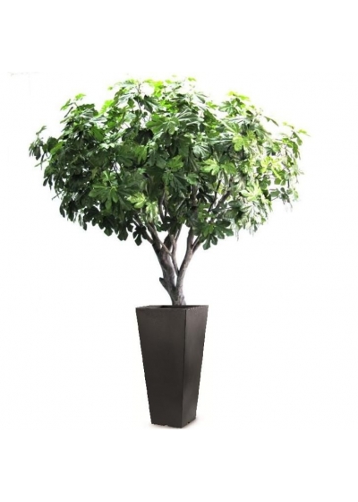 Fico Artificiale Deluxe 250cm