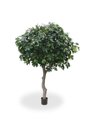 Quercia Artificiale gigante Deluxe 300cm
