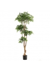 Ficus Audrey Albero Artificiale Deluxe 250cm