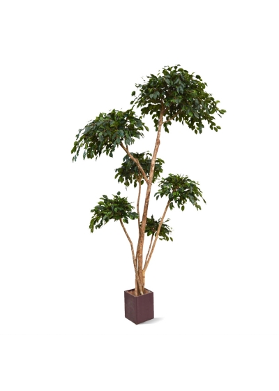 Ficus Exotica Layer x6 300cm Artificiale