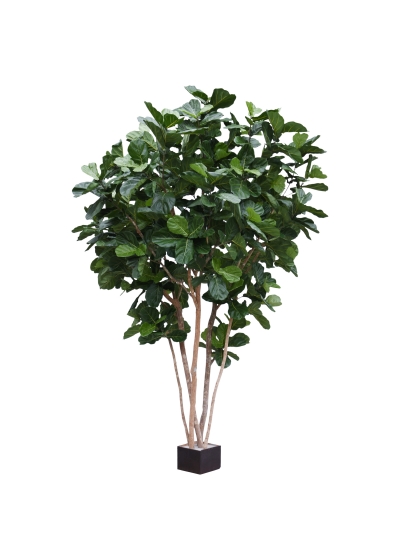 Ficus Lyrata Giant Albero Artificiale Deluxe 420cm