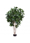 Ficus Lyrata Giant Albero Artificiale Deluxe 420cm