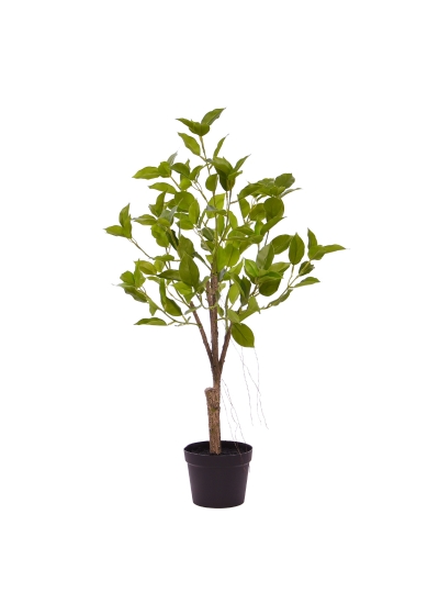 Ficus Natasja Bonsai Artificiale 60cm Verde