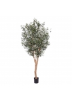 Ulivo Deluxe Albero Artificiale 250cm