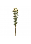 Fascio di Rose Artificiali x8 70cm Crema