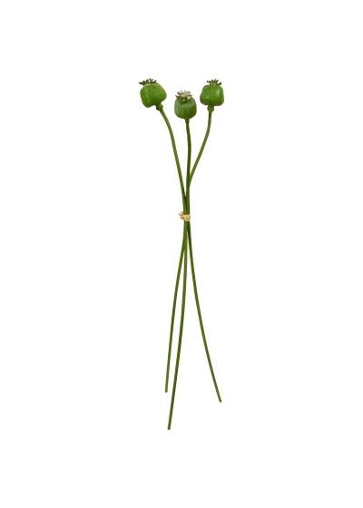 Papavero fascio x3 Artificiale 55cm Verde