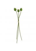 Papavero fascio x3 Artificiale 55cm Verde