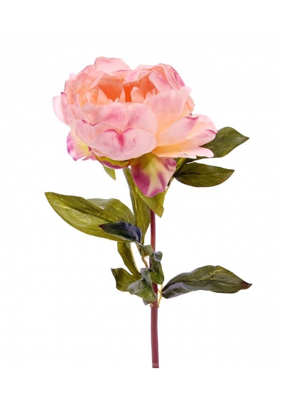 Peonia (Paeonia) fiore Artificiale Deluxe 55cm Rosa