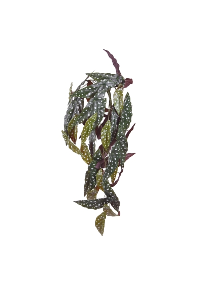 Begonia Maculata Pianta Pendente Artificiale 80cm