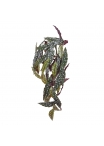 Begonia Maculata Pianta Pendente Artificiale 80cm