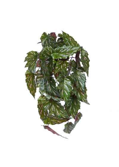 Begonia Rex Pianta Pendente Artificiale Verde Rosso 40cm