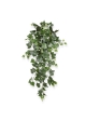 Edera Deluxe Pianta Pendente Artificiale 75cm - Verde