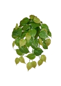 Filodendro Micans RT Pianta Pendente Artificiale 45cm