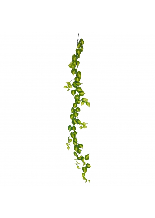 Filodendro Scandens Brasil Ghirlanda Artificiale 180cm