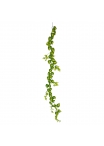 Filodendro Scandens Brasil Ghirlanda Artificiale 180cm