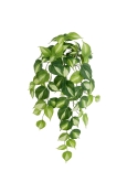 Filodendro Scandens Brasil Pianta Pendente Artificiale 60cm
