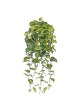 Filodendro Scandens Brasil Pianta Pendente Artificiale 80cm