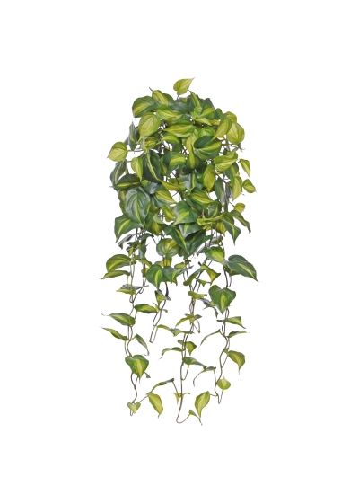 Filodendro Scandens Brasil Pianta Pendente Artificiale 80cm