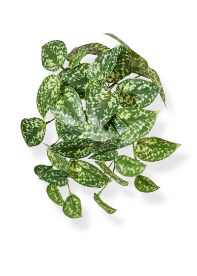 Pictus Pianta Pendente Artificiale 25cm - Variegato