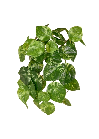 Pilea Peperomioides Pianta Pendente Artificiale Variegato 30cm