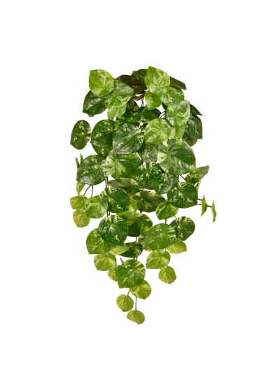 Pilea Peperomioides Pianta Pendente Artificiale Variegato 60cm