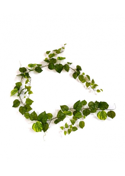 Pothos Ghirlanda Artificiale 180cm - Variegato