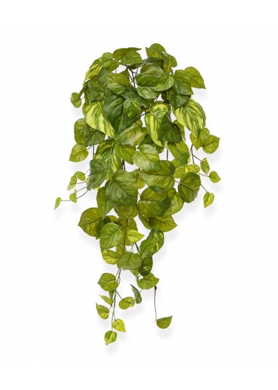 Pothos Pianta Pendente Artificiale 55cm - Variegato