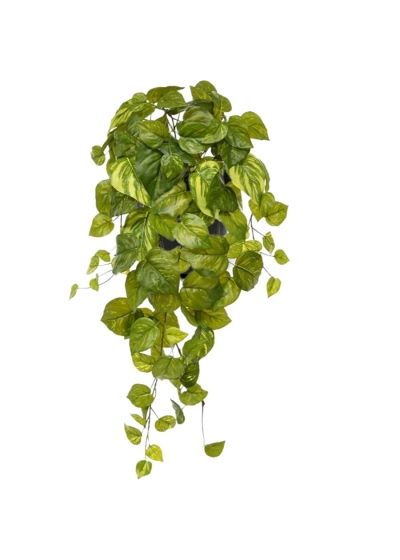 Pothos Pianta Pendente Artificiale 55cm - Variegato in vaso