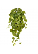 Pothos Pianta Pendente Artificiale 55cm - Variegato in vaso