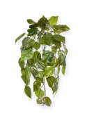 Pothos Pianta Pendente Deluxe Artificiale 70cm - Variegato
