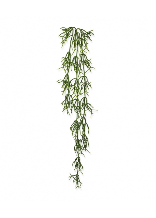 Rhipsalis Heteroclada Pianta Artificiale Pendente 75cm