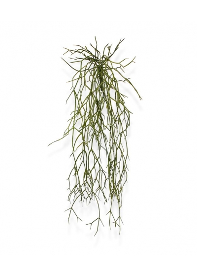 Rhipsalis Micrantha Pianta Artificiale Pendente 55cm
