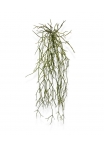 Rhipsalis Micrantha Pianta Artificiale Pendente 55cm