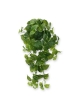 Scindapsus Artificiale Pendente 80cm - RT
