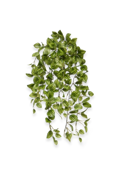 Peperomia Pianta Pendente Artificiale Variegato 50cm