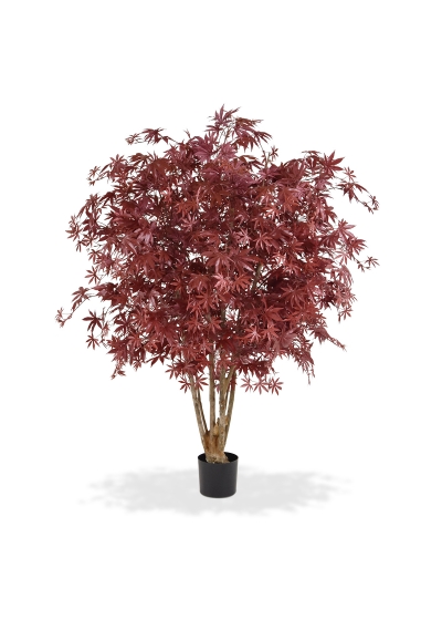Acero Maple Artificiale Deluxe 165cm - Bordeaux