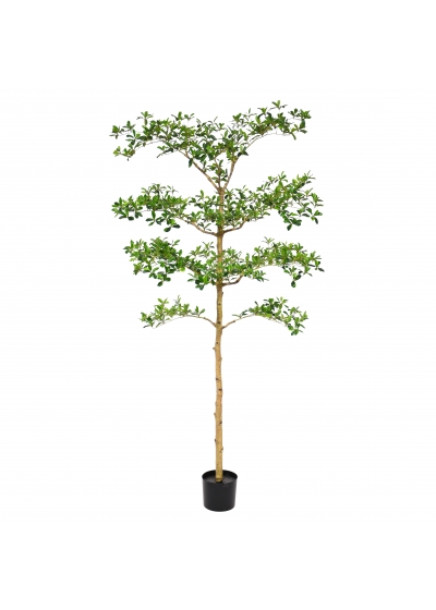 Bucida Buceras Albero Artificiale 180cm NT Verde