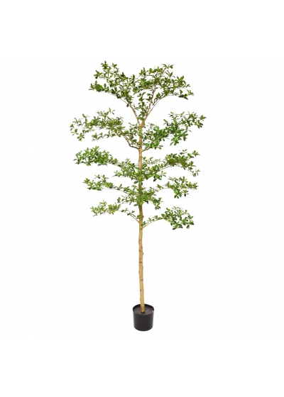 Bucida Buceras Albero Artificiale 210cm NT Verde