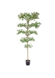 Bucida Buceras Albero Artificiale 240cm NT Verde