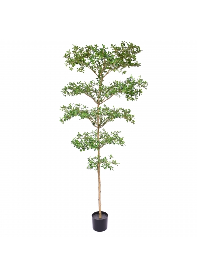 Bucida Buceras Albero Artificiale 240cm NT Verde