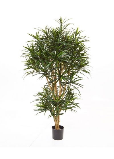 Dracaena Reflexa Anita Albero Artificiale 160cm