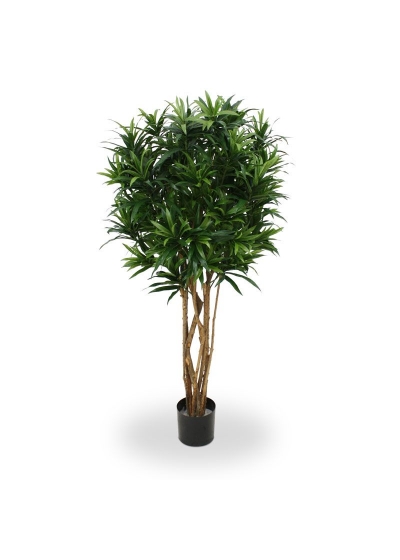 Dracaena Reflexa Artificiale 150cm - Verde
