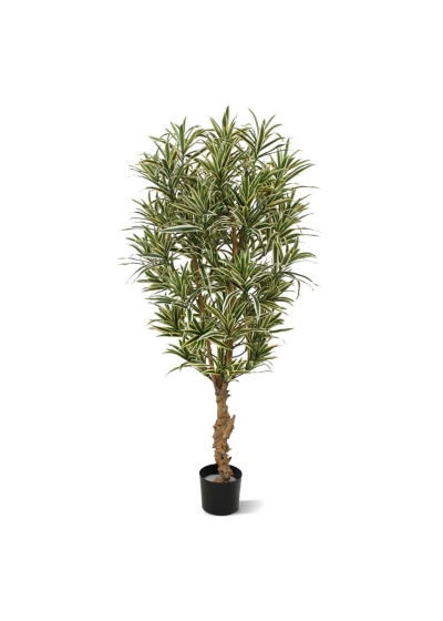 Dracaena Reflexa Pianta Artificiale 150cm - Variegato
