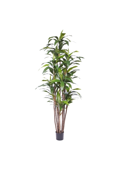 Dracena Ignifugoagrans Pianta Artificiale Deluxe 210cm