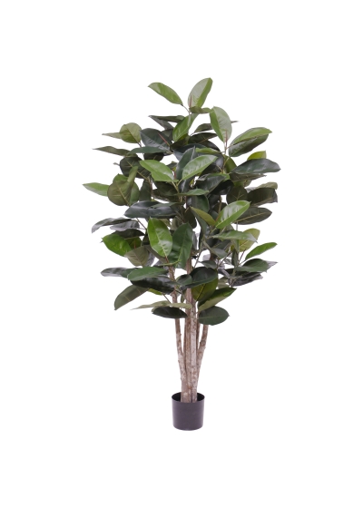 Elastica Robusta Pianta Artificiale 170cm Verde